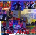 Rui Alves em Joué-les-tours França